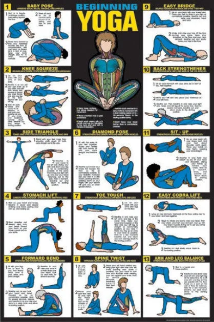 Algra Beginners Yoga Poster