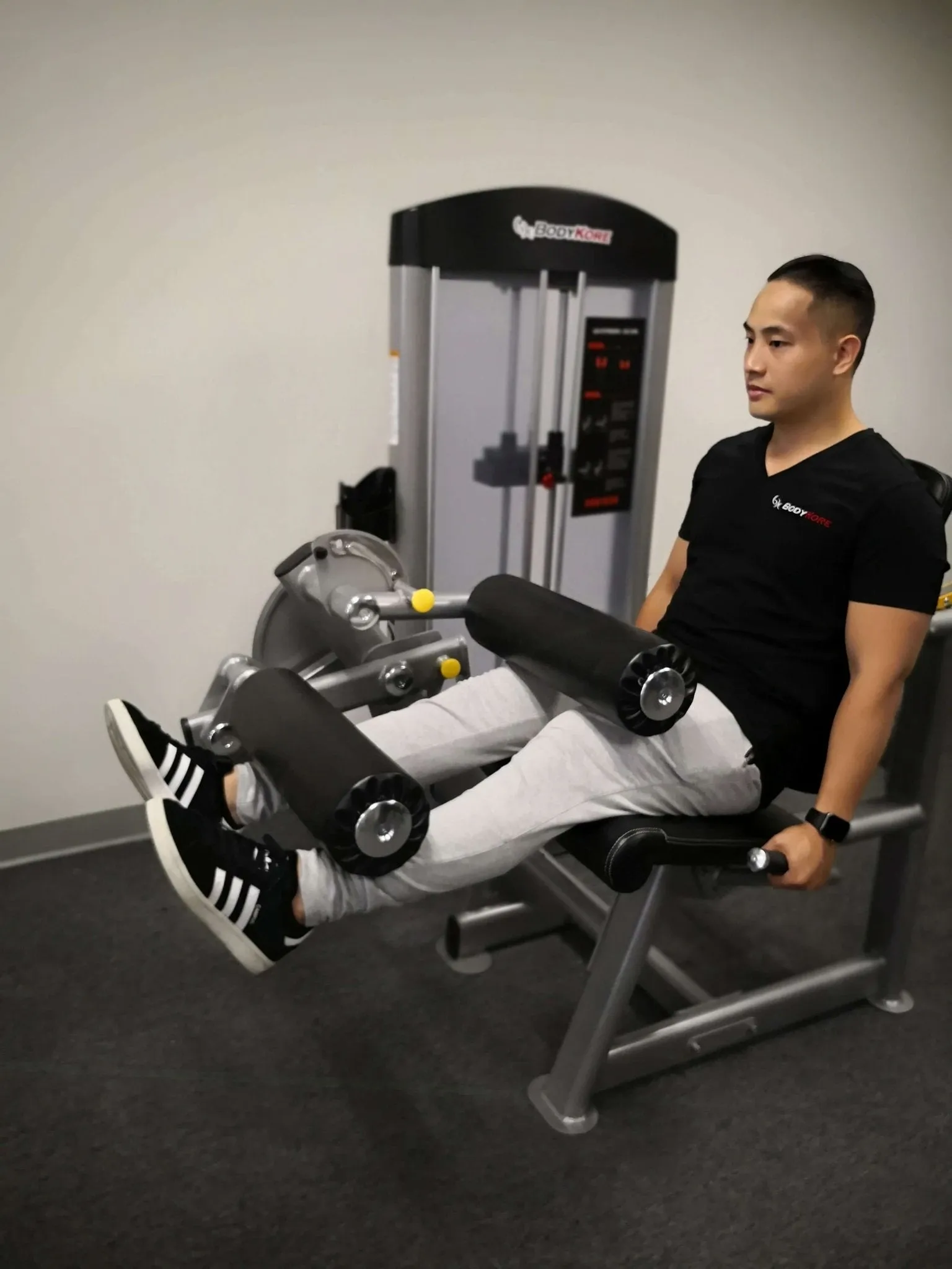 BodyKore Isolation Series - Leg Curl/Extension GR639