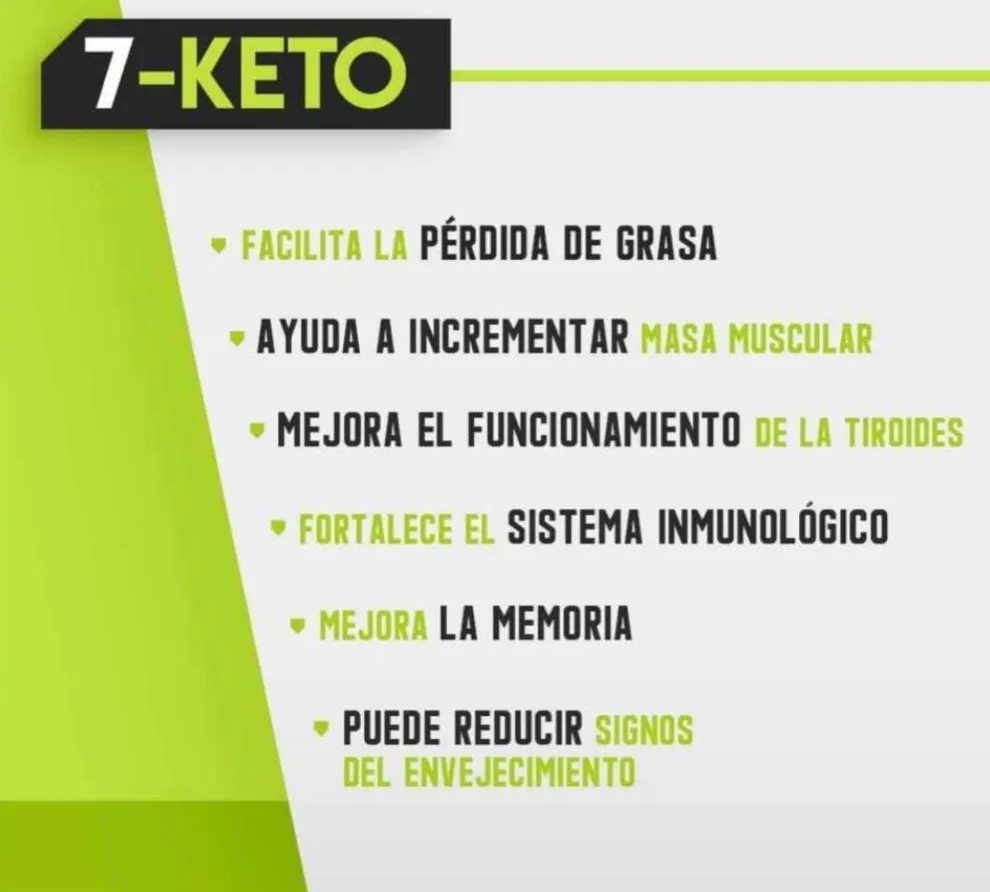 Fit9 Sascha Fitness PRODUCTO ORIGINAL💚