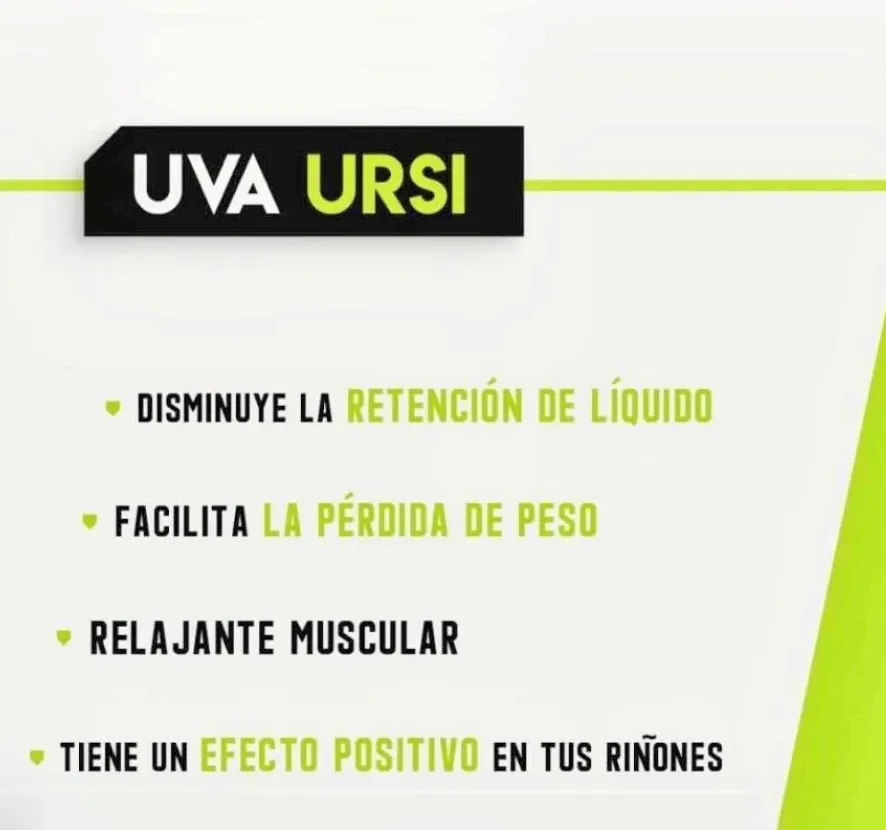 Fit9 Sascha Fitness PRODUCTO ORIGINAL💚