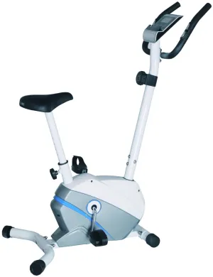 LifeLine Fitness Magnetic Upright Bike 8317 UP