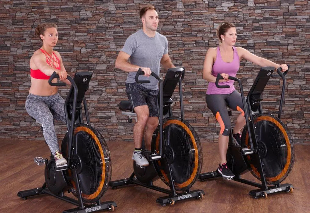 Octane Fitness Airdyne ADX Fan Bike