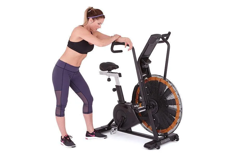 Octane Fitness Airdyne ADX Fan Bike