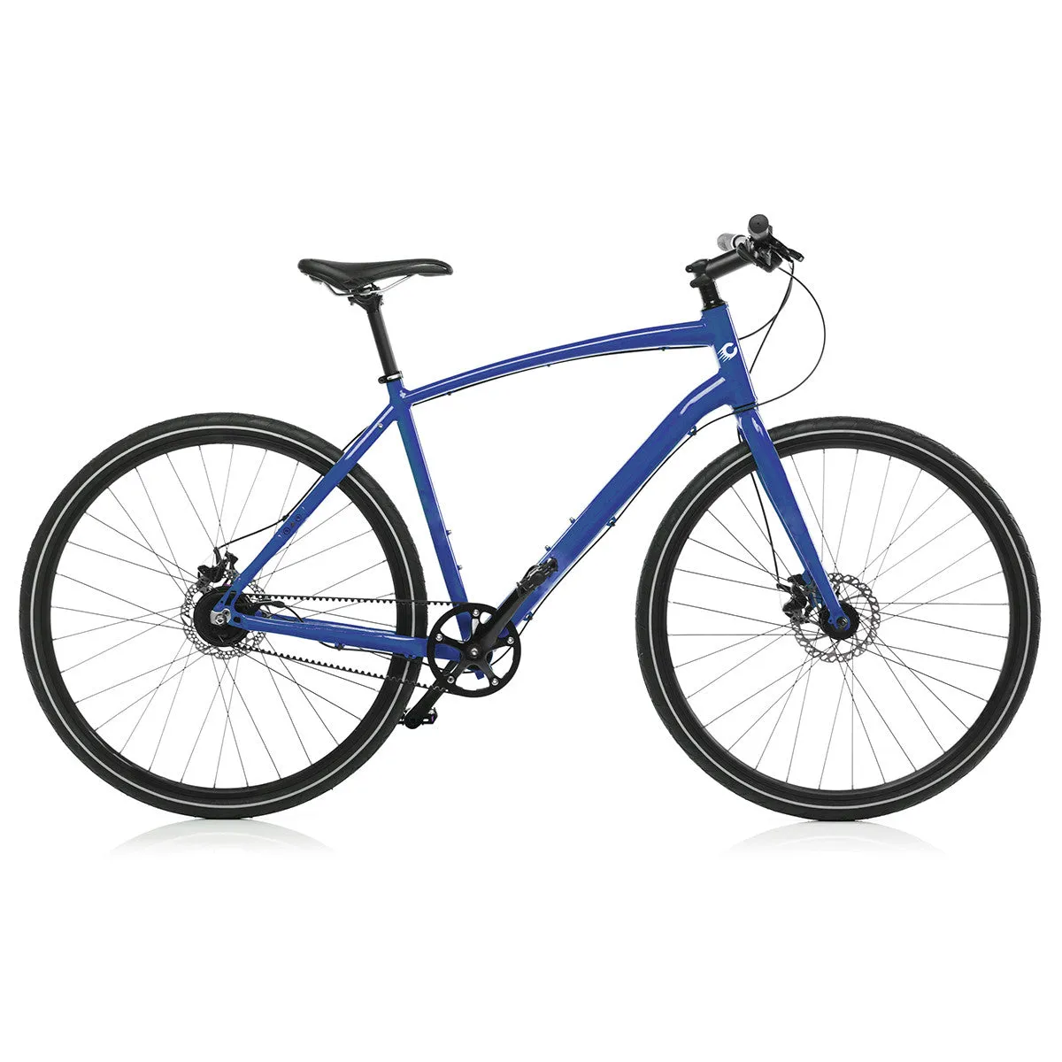 Riggs Molpo Blue Mountain bicycle