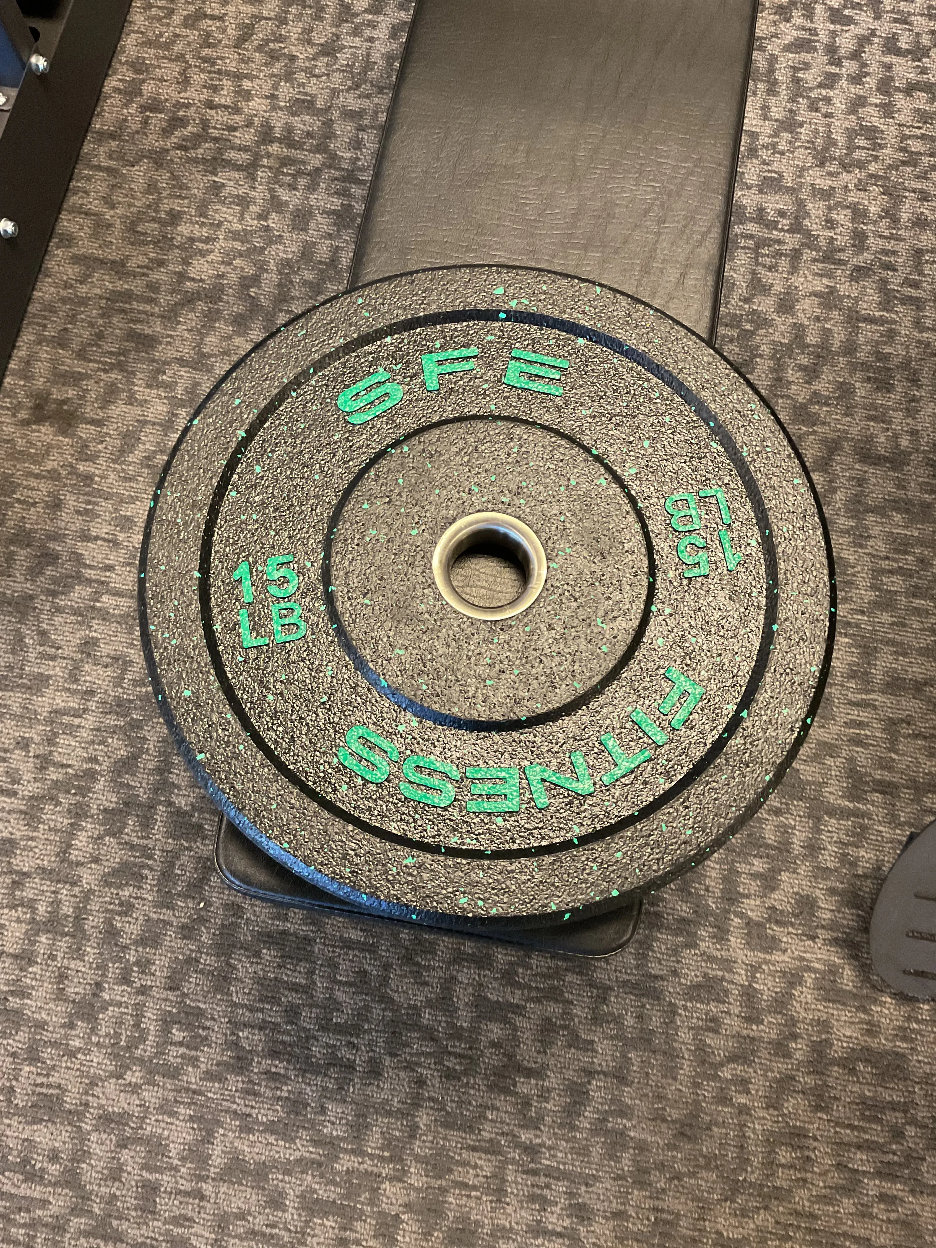 SFE Hi-Temp Crumble Olympic Bumper Plate (NEW)