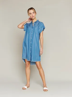 Short Sleeve Denim Dress with White Pinstripes