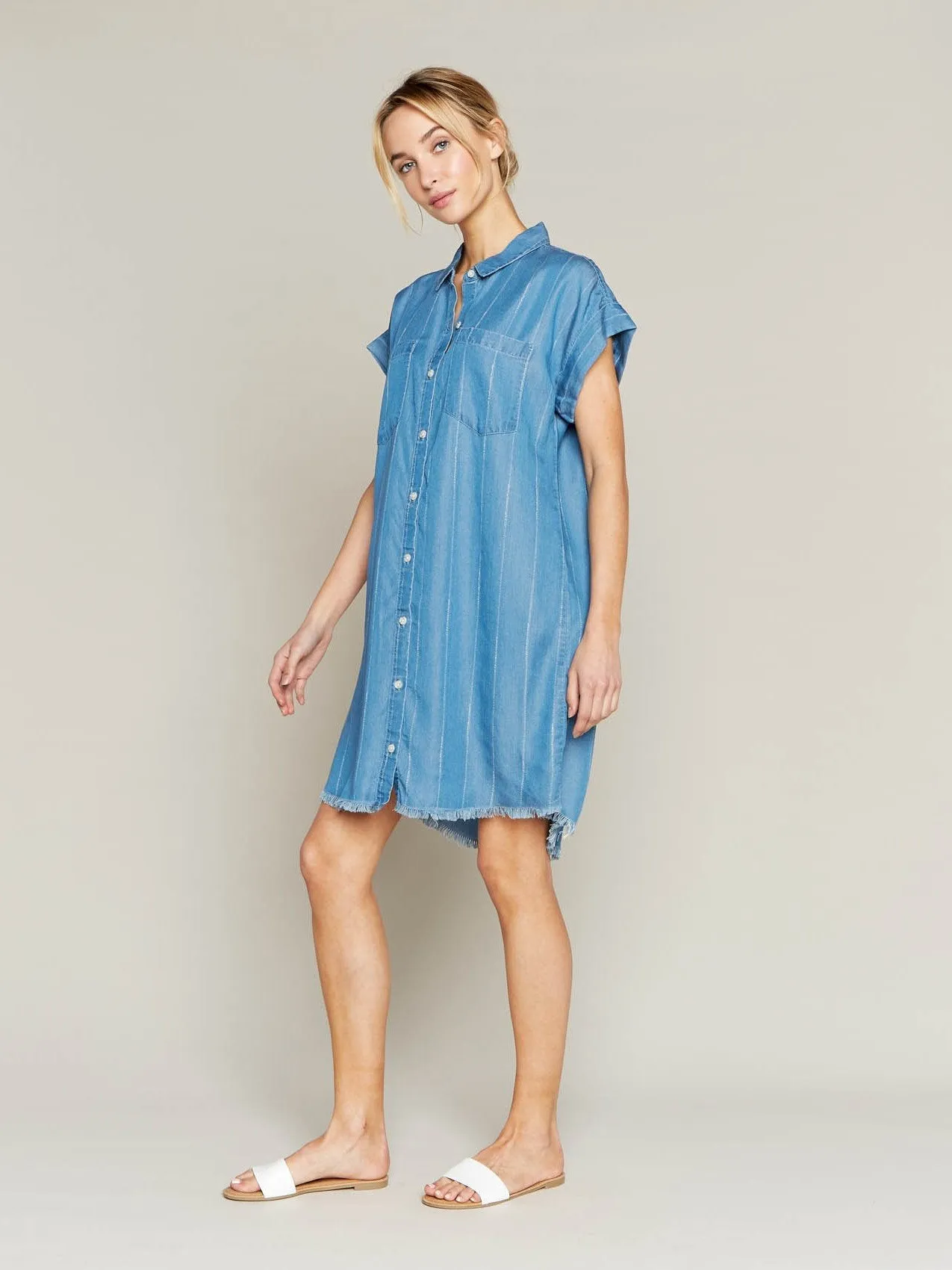 Short Sleeve Denim Dress with White Pinstripes