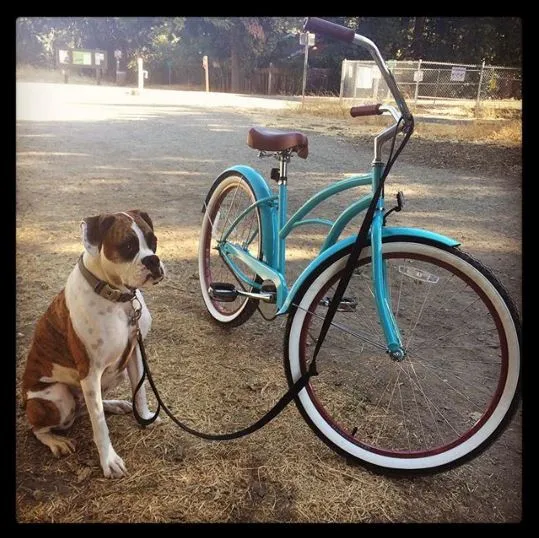 sixthreezero Teal 3 Speed Women's Beach Cruiser Bike