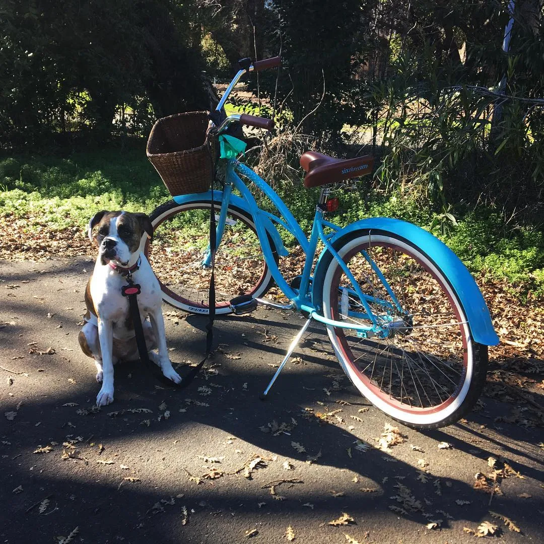 sixthreezero Teal 3 Speed Women's Beach Cruiser Bike