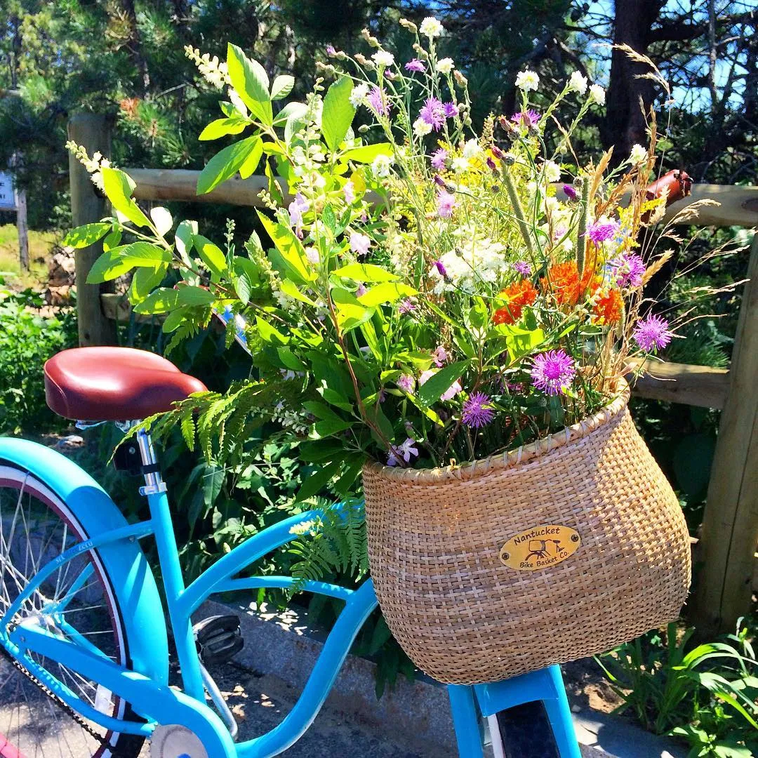 sixthreezero Teal 3 Speed Women's Beach Cruiser Bike