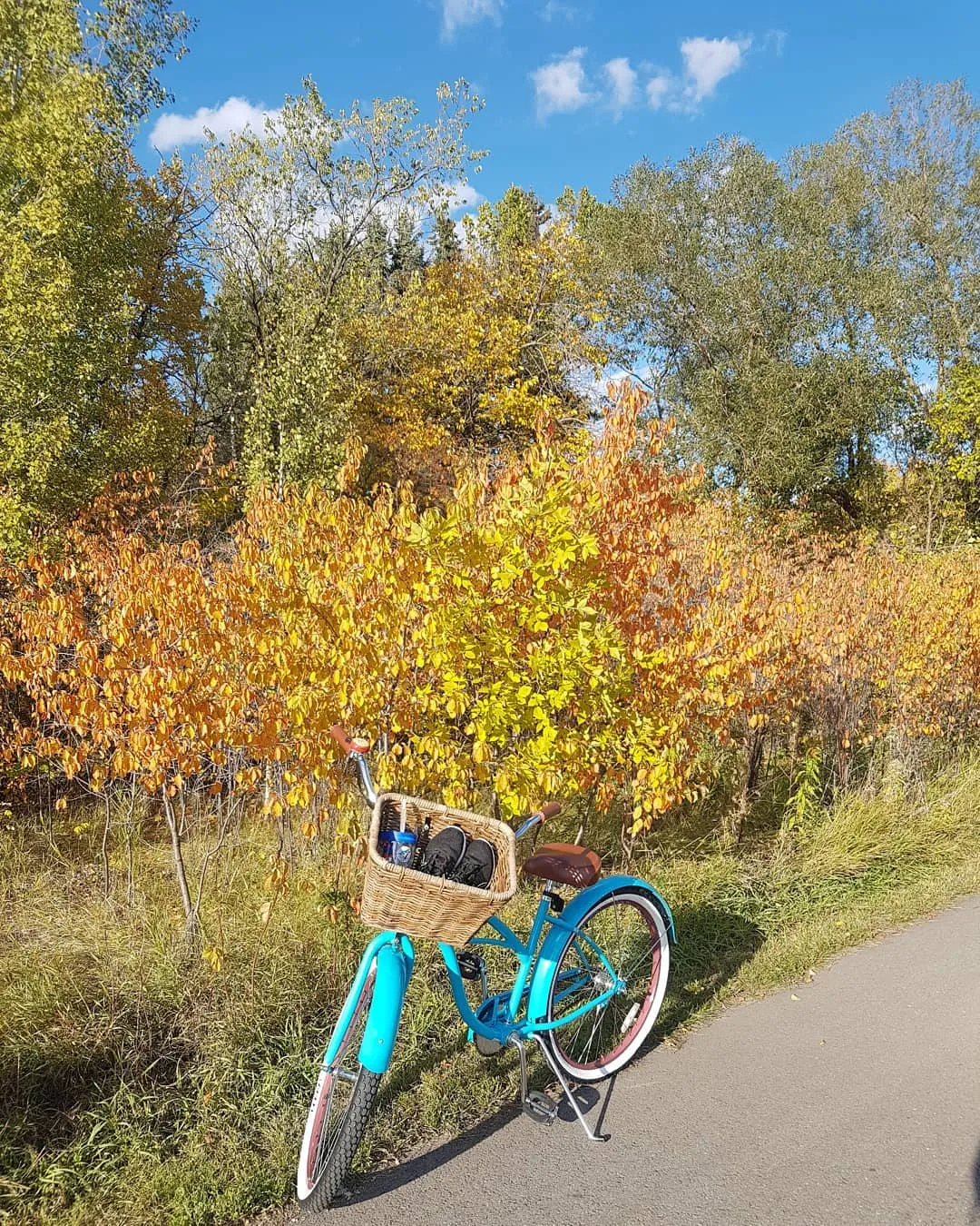 sixthreezero Teal 3 Speed Women's Beach Cruiser Bike