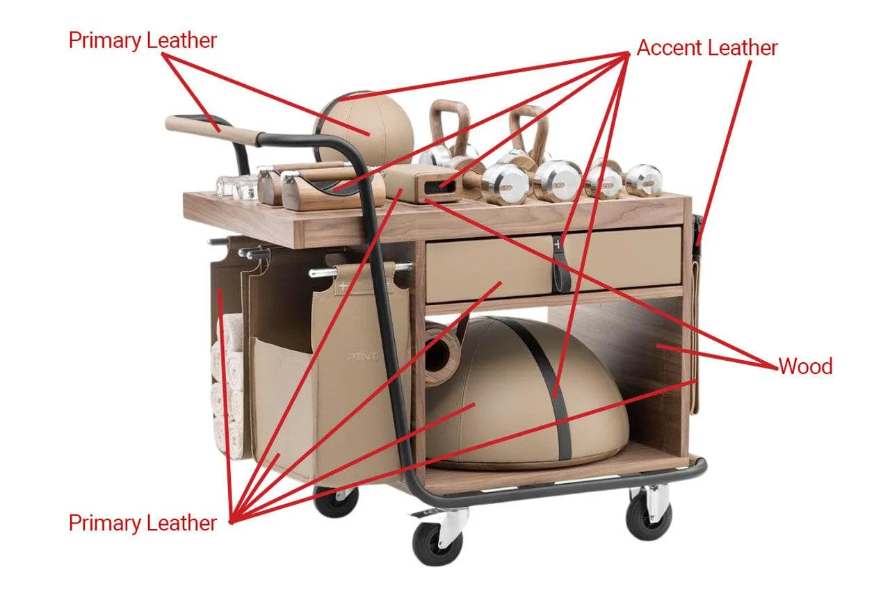 SOPHIA Fitness Cart