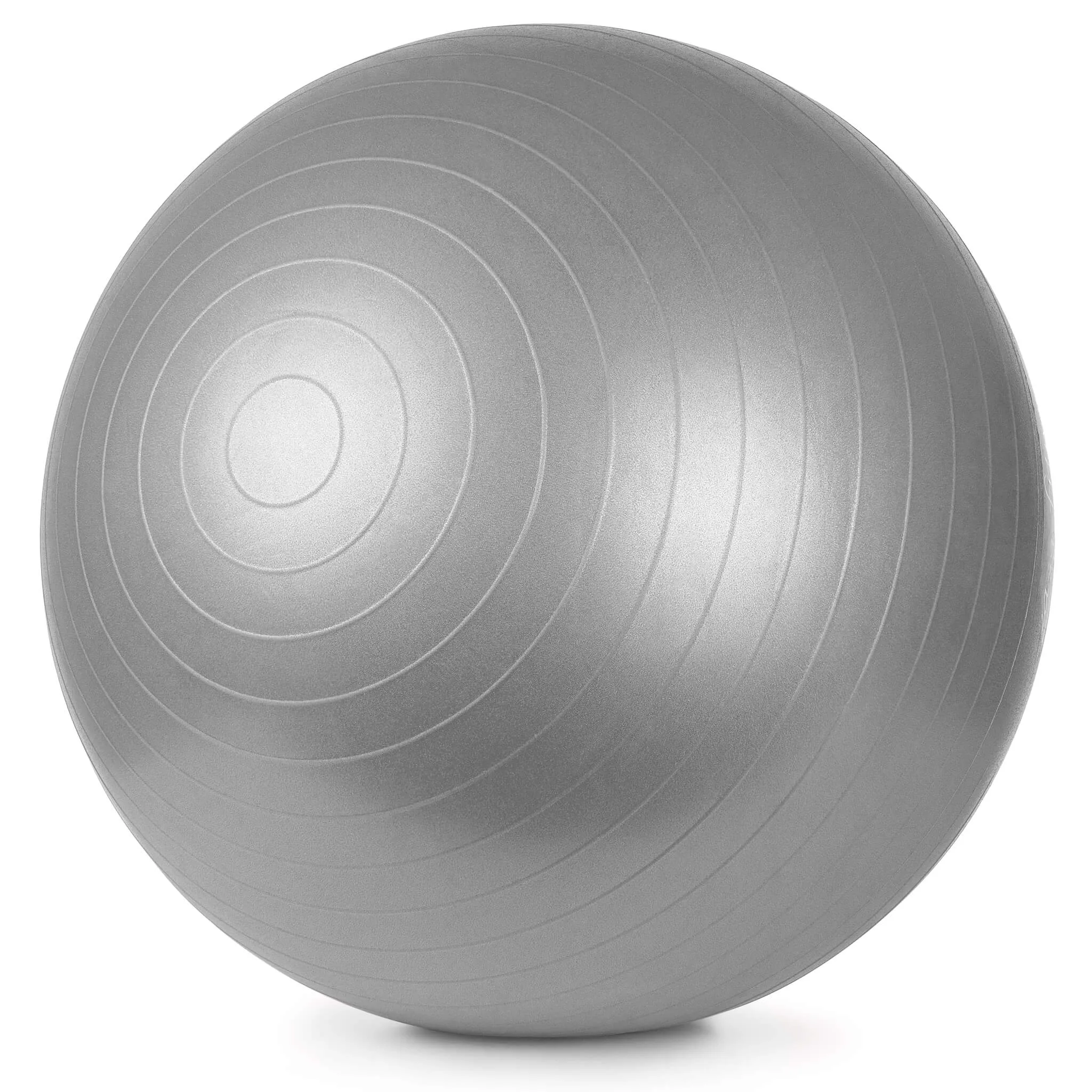 TheraBand Pro-Series SCP Exercise Ball