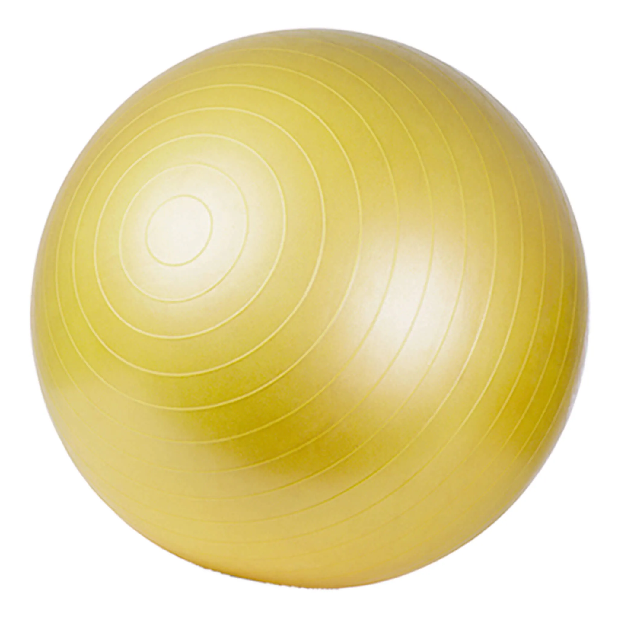 TheraBand Pro-Series SCP Exercise Ball